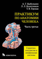 Практикум по анатомии человека. В 4 ч. Ч. 3 Сердечно-сосудистая и лимфоидная системы