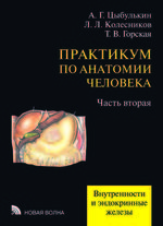 Практикум по анатомии человека. В 4 ч. Ч. 2 Внутренности и эндокринные железы