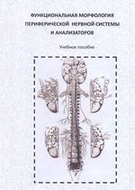 Функциональная морфология периферической нервной системы и анализаторов