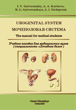 Urogenital system