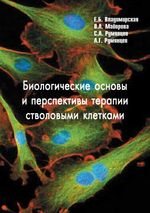 Биологические основы и перспективы терапии стволовыми клетками