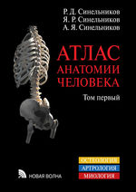 Атлас анатомии человека. В 4 т. Т. 1. Учение о костях, соединениях костей и мышцах