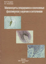 Меланоциты эпидермиса и волосяных фолликулов у мужчин в онтогенезе