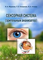 Сенсорная система (зрительный анализатор)