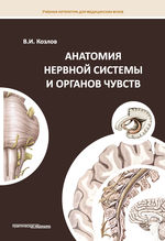 Анатомия нервной системы и органов чувств