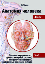 Анатомия человека. Атлас в 3 т. Том 2.
