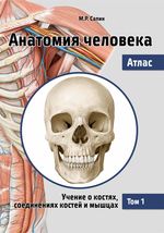 Анатомия человека. Атлас в 3 т.  Том 1.