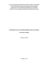 Клиническая анатомия  нижних дыхательных путей и легких