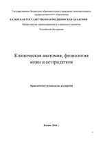 Клиническая анатомия, физиология кожи и ее придатков