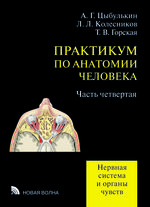 Практикум по анатомии человека. В 4 ч. Ч. 4 Нервная система и органы чувств