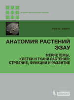 Анатомия растений Эзау
