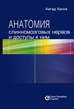 Анатомия спинномозговых нервов и доступы к ним