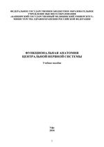 Функциональная анатомия центральной нервной системы