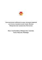 Анатомические особенности кожи, подкожно-жировой клетчатки, соединительной ткани. Фасция. Поверхностная мышца шеи. Патологии