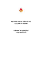 Анатомия дыхательных путей. Легочная патология