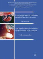 Embryogenesis of different vertebrates and human