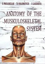 Anatomy of the  muskuloskeletal system