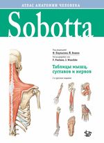 Sobotta. Таблицы мышц, суставов и нервов