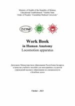 Work Book in Human Anatomy. Locomotion apparatus