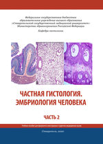 Частная гистология. Эмбриология человека в 2 ч. Ч. 2