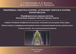 Peripheral nervous system. Autonomic nervous system. Sense organs