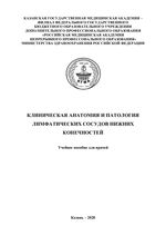 Клиническая анатомия и патология  лимфатических сосудов нижних конечностей