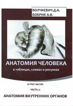 Анатомия человека в таблицах, схемах и рисунках в 3 ч. Ч. 2 Анатомия внутренних органов