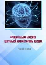 Функциональная анатомия центральной нервной системы