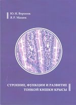 Строение, функции и развитие тонкой кишки крысы