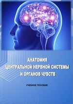 Анатомия центральной нервной системы и органов чувств