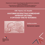 Анатомия возрастных изменений нервной системы и органов чувств человека