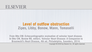 Обложка: Видео 68.1B Уровень обструкции оттока