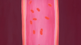 Обложка: 1. Видео_НИИ Хирургии