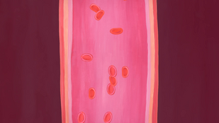 Обложка: 1. Видео НИИ Хирургии