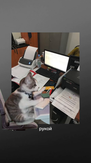 Обложка: Буктрейлер