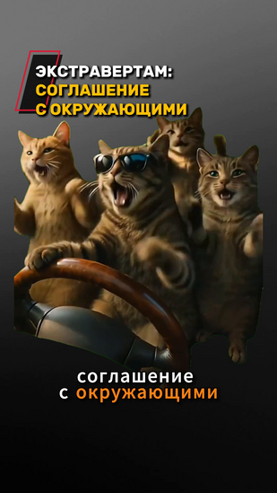 Обложка: Видео