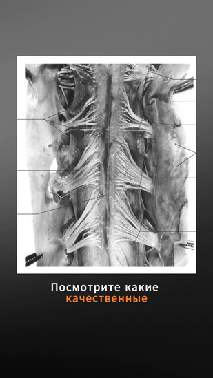 Обложка: Буктрейлер