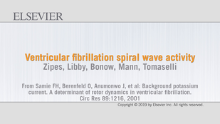 Обложка: Видео 34.4. Активность спиральной волны реентри при фибрилляции желудочков...см. далее стр. XXi