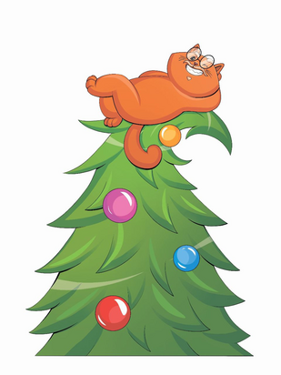 Обложка: Елка Букап