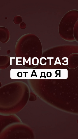 Обложка: Видео